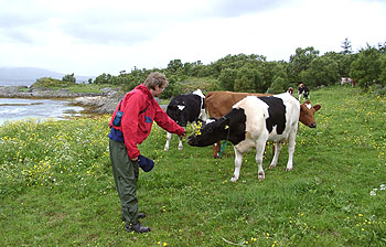 Foto: Bent Svinnung