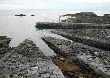 Foto: Bent Svinnung