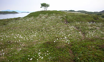 Foto: Bent Svinnung