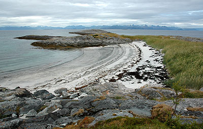 Trinnya: Nordveststranda. Med Vestfjorden og yriket rett nord i bakgrunnen. Foto: Bent Svinnung