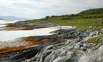 Foto: Bent Svinnung