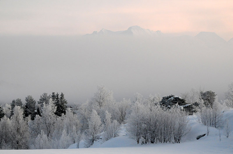 Foto: Bent Svinnung