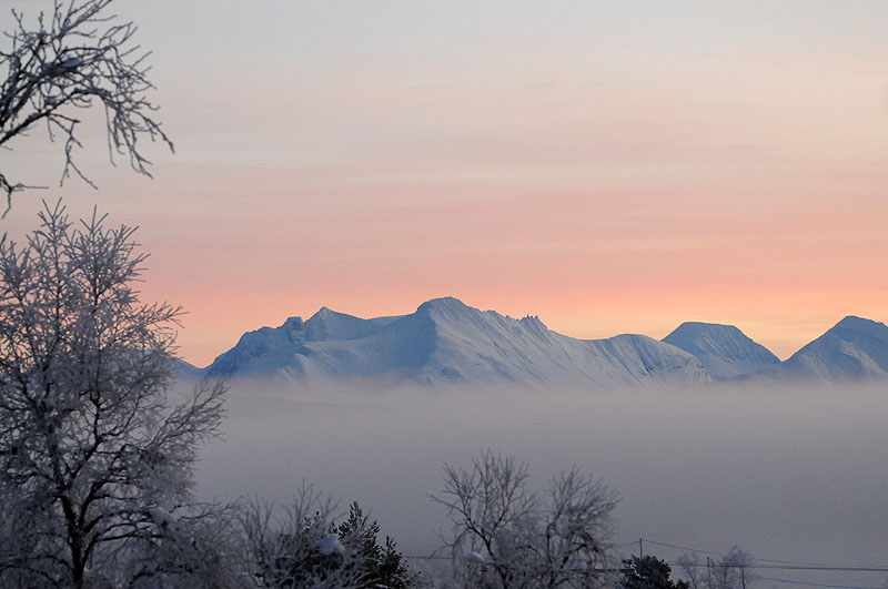 Foto: Bent Svinnung