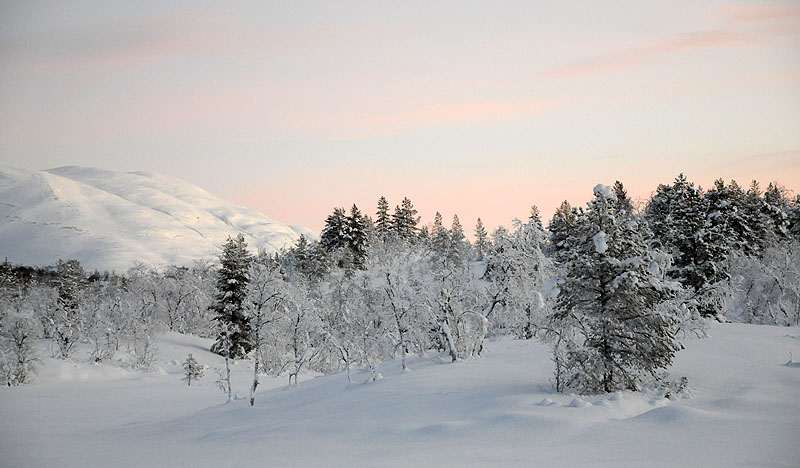 Foto: Bent Svinnung