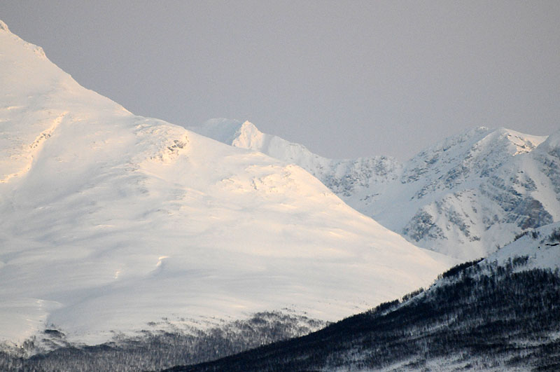 Foto: Bent Svinnung