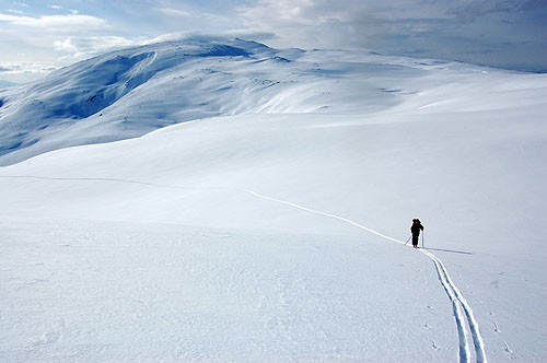 Foto: Bent Svinnung