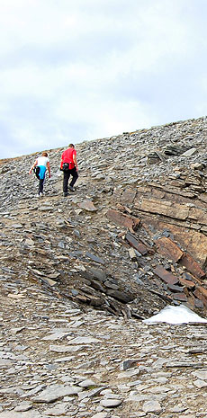 Foto: Bent Svinnung