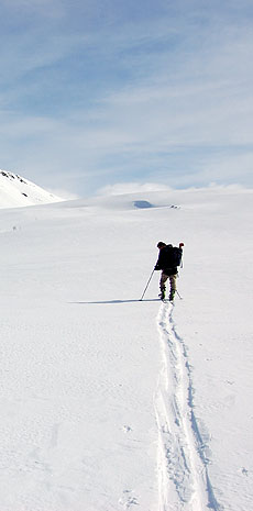 Foto: Bent Svinnung