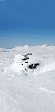 Foto: Bent Svinnung