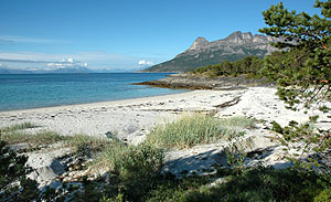 Tannya, Hamary. Nordveststranda innafor Brannya. Foto: Bent Svinnung