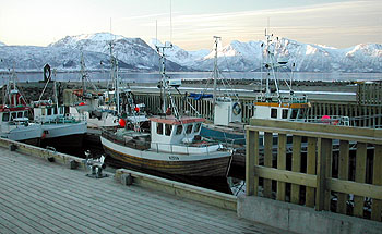 Foto: Bent Svinnung